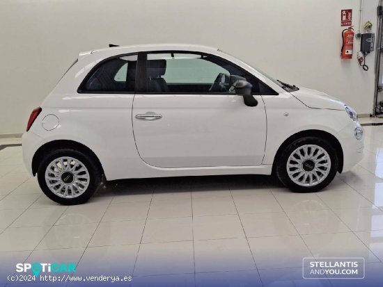 Fiat 500   1.0 Hybrid 51KW (70 CV) Dolcevita - Ourense