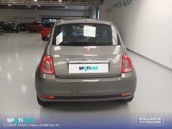 Fiat 500   1.0 Hybrid 51KW (70 CV) Monotrim - Vigo