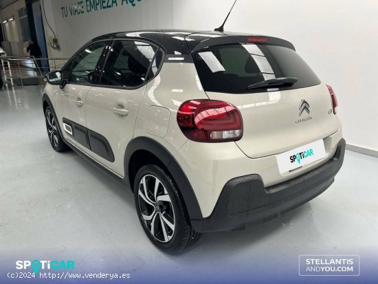 Citroën C3  BlueHDi 75KW (100CV) S&S Shine - Vigo