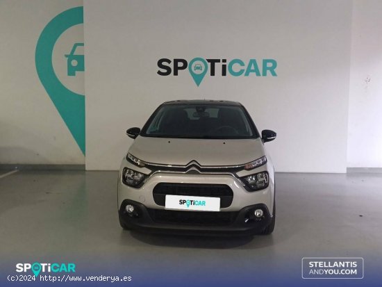 Citroën C3  BlueHDi 75KW (100CV) S&S Shine - Oleiros