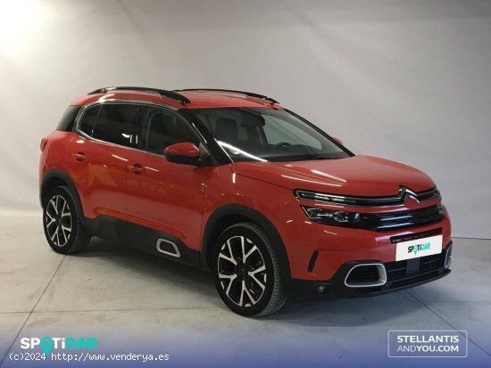 Citroën C5 Aircross  BlueHdi 96kW (130CV) S&S Shine - Ourense