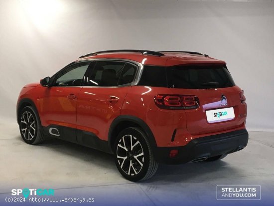 Citroën C5 Aircross  BlueHdi 96kW (130CV) S&S Shine - Ourense