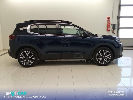 Citroën C5 Aircross  PureTech 96kW (130CV) S&S EAT8 Shine Pac Shine Pack - Vigo