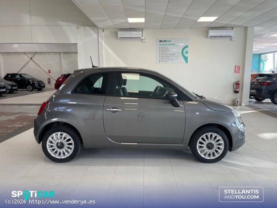 Fiat 500   1.0 Hybrid 51KW (70 CV) Dolcevita - Almería