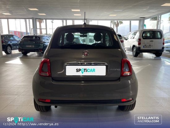 Fiat 500   1.0 Hybrid 51KW (70 CV) Dolcevita - Almería