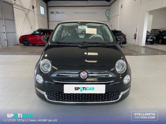 Fiat 500C   1.0 Hybrid 51KW (70 CV) Dolcevita - Almería