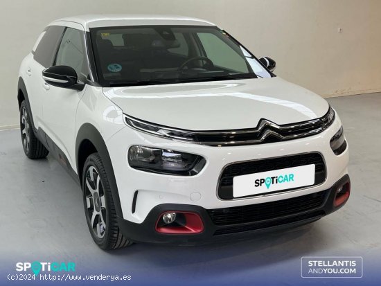 Citroën C4 Cactus  PureTech 110 S&S Shine Pack - Sevilla