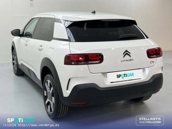 Citroën C4 Cactus  PureTech 110 S&S Shine Pack - Sevilla