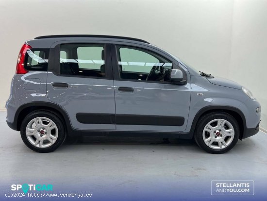 Fiat Panda   Hybrid 1.0 Gse 51kw (70CV) City Life - Sevilla