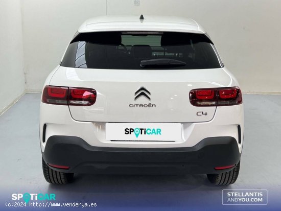 Citroën C4 Cactus  PureTech 110 S&S Shine Pack - Sevilla