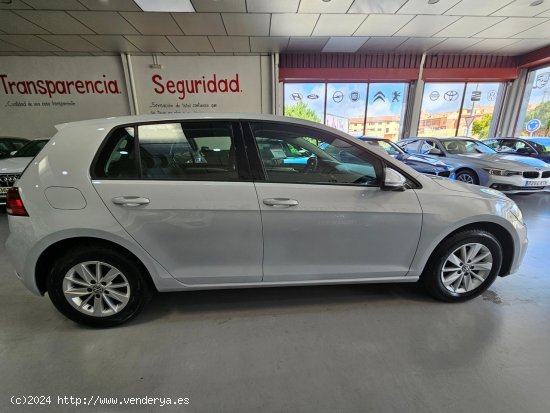 Volkswagen Golf 1.6 TDI 115CV BUSINESS - CUENCA