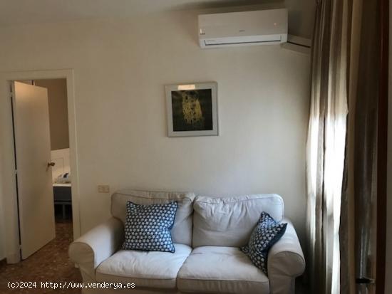 ALQUILER DE APARTAMENTO EN EL CENTRO, ZONA PLAZA SANTA ISABEL - MURCIA