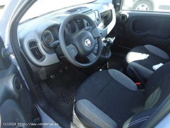 Fiat Panda City Life Hybrid 1.0 Gse 51kw (70CV) - San Vicente del Raspeig