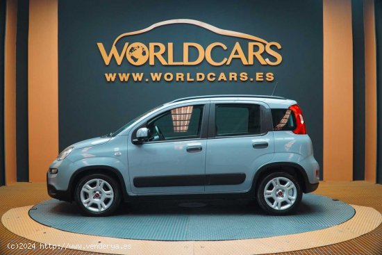 Fiat Panda City Life Hybrid 1.0 Gse 51kw (70CV) - Elche