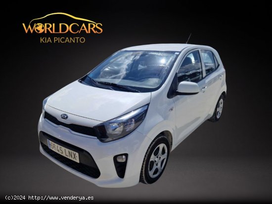  Kia Picanto 1.0 DPi 49kW (67CV) Concept - San Vicente del Raspeig 