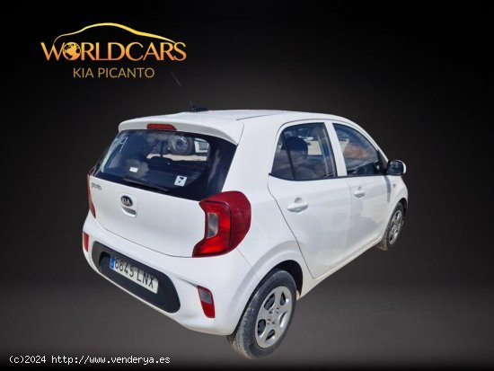 Kia Picanto 1.0 DPi 49kW (67CV) Concept - San Vicente del Raspeig