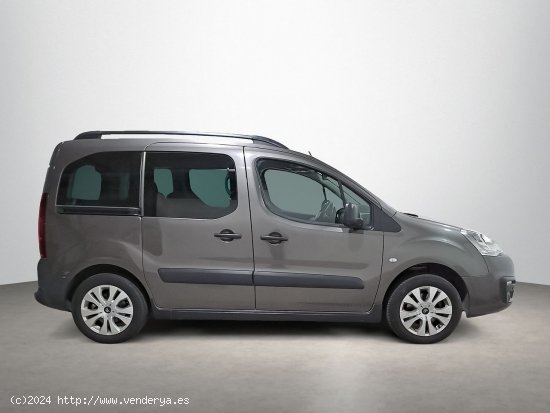 Citroën Berlingo 1.2 PURETECH 110 20 ANIVERSARIO 5P - Sabadell