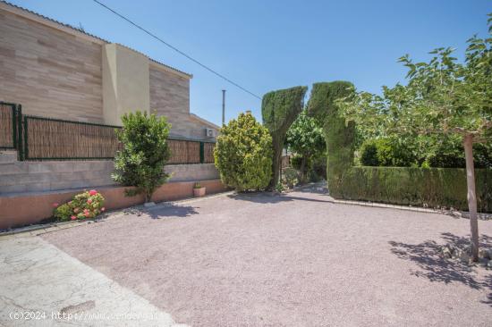 CAMPO EN SALINETAS ALTAS CON PISCINA - ALICANTE