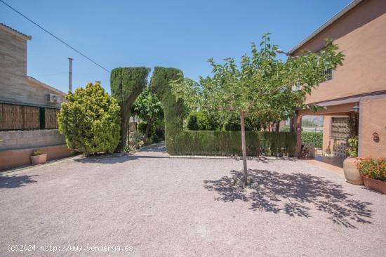 CAMPO EN SALINETAS ALTAS CON PISCINA - ALICANTE