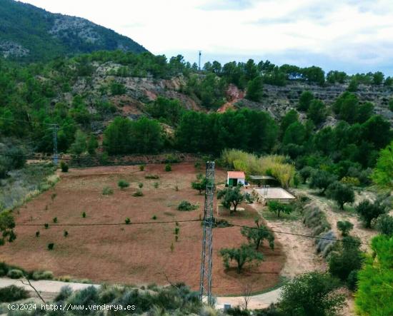 TERRENO AGRICOLA CON CASETA DE APEROS, EN FINESTRAT CON BALSA , POZO Y POSTE DE LUZ JUSTO AL LADO - 