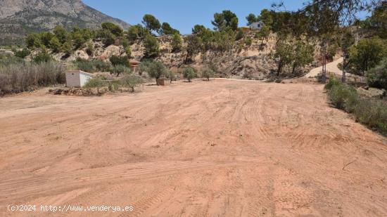 TERRENO AGRICOLA CON CASETA DE APEROS, EN FINESTRAT CON BALSA , POZO Y POSTE DE LUZ JUSTO AL LADO - 