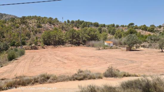 TERRENO AGRICOLA CON CASETA DE APEROS, EN FINESTRAT CON BALSA , POZO Y POSTE DE LUZ JUSTO AL LADO - 