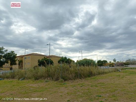 VENTA DE PARCELA EN ZONA RESIDENCIAL  EL TULELL   ALZIRA  (VALENCIA) - VALENCIA