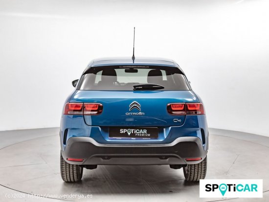 Citroën C4 Cactus PureTech 110 S&S Shine - Sabadell