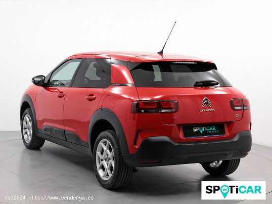 Citroën C4 Cactus PureTech 60KW (82CV) Feel - Sabadell