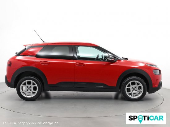 Citroën C4 Cactus PureTech 60KW (82CV) Feel - Sabadell