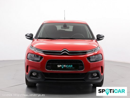 Citroën C4 Cactus PureTech 60KW (82CV) Feel - Sabadell