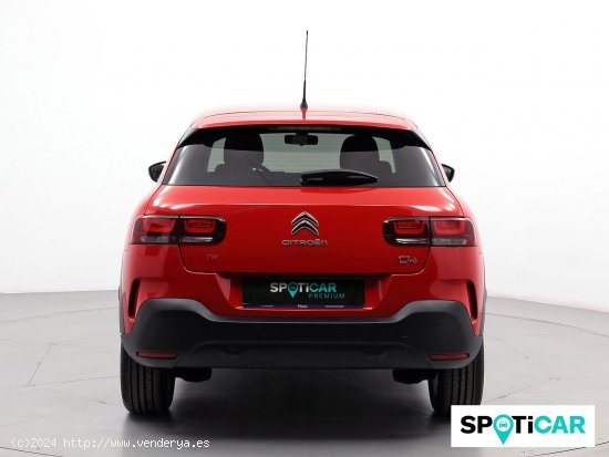 Citroën C4 Cactus PureTech 60KW (82CV) Feel - Sabadell