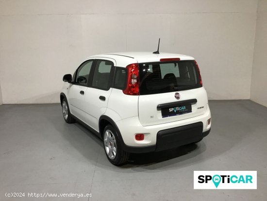 Fiat Panda Panda Hybrid 1.0 51kw (70CV) - Sabadell