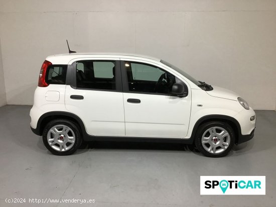 Fiat Panda Panda Hybrid 1.0 51kw (70CV) - Sabadell