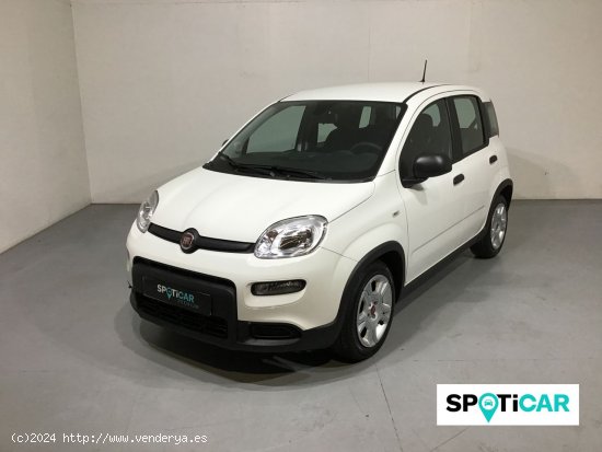 Fiat Panda Panda Hybrid 1.0 51kw (70CV) - Sabadell