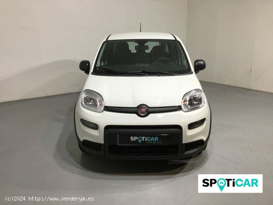 Fiat Panda Panda Hybrid 1.0 51kw (70CV) - Sabadell