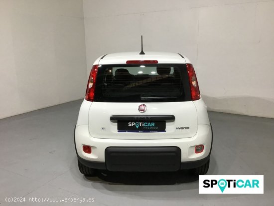 Fiat Panda Panda Hybrid 1.0 51kw (70CV) - Sabadell