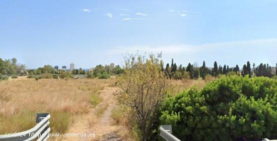 Finca rústica - CASTELLON