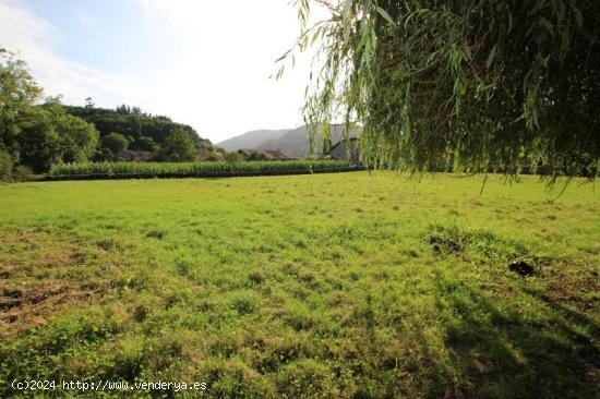 UNA FINCA PARA REALIZAR TU SUEÑO - CANTABRIA