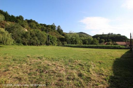 UNA FINCA PARA REALIZAR TU SUEÑO - CANTABRIA