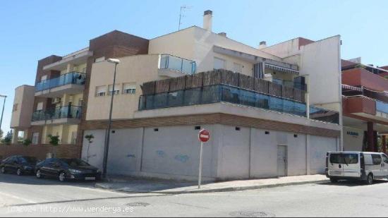 Local comercial en venta en Alcantarilla, Murcia - MURCIA