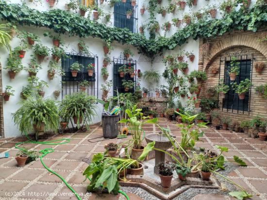 ¡¡¡ Preciosa casa enorme con patio cordobés !!! - CORDOBA