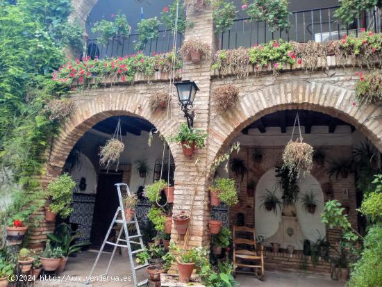 ¡¡¡ Preciosa casa enorme con patio cordobés !!! - CORDOBA