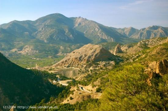  PARCELA SITUADA EN LA SIERRA DE RICOTE - MURCIA 