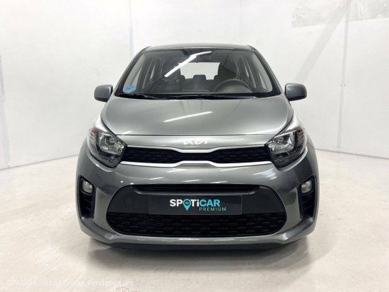 Kia Picanto  1.0 DPi 49kW (67CV) Concept - SANT FRUITOS DE BAGES