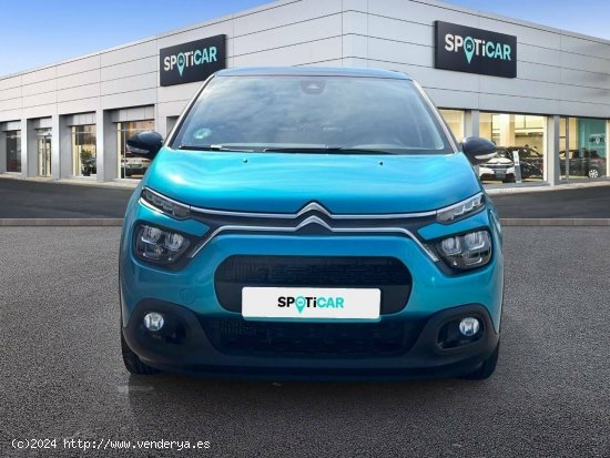 Citroën C3  BlueHDi 75KW (100CV) S&S Shine - MALLA