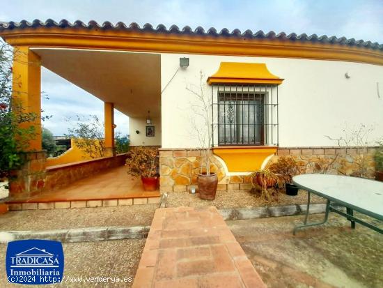 ARCOS DE LA FRONTERA, FINCA RÚSTICA DE 5.685M², 2 CHALETS, BOXES Y ESTABLOS PARA CABALLOS - CADIZ