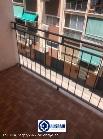 OCASIÓN VIVIENDA EN VENTA - BULEVAR DEL PLA ALICANTE - ALICANTE