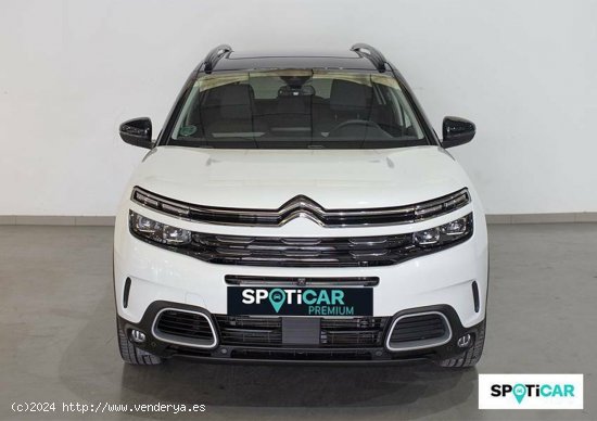 Citroën C5 Aircross  225 e-EAT8 Shine - JEREZ DE LA FRONTERA