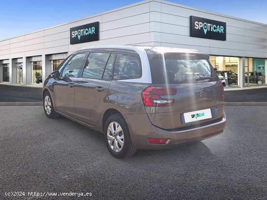 Citroën Grand C4 SpaceTourer  PureTech 96KW (130CV) S&S EAT8 Feel - CANET D EN BERENGUER